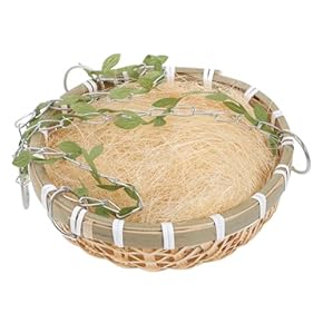 高級　手作り鳥箱 木製巣箱 文鳥巣箱 小鳥・インコの巣箱 : とりっぴー小鳥用品