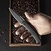 CIVIVI Cetos Folding Knife, 3.48-in 14C28N Blade Spear Point with Coarse Micarta Scale Flipper Knife Frame Lock, Pocket EDC Outdoor Knives for Camping, Hiking, Hunting C21025B-2