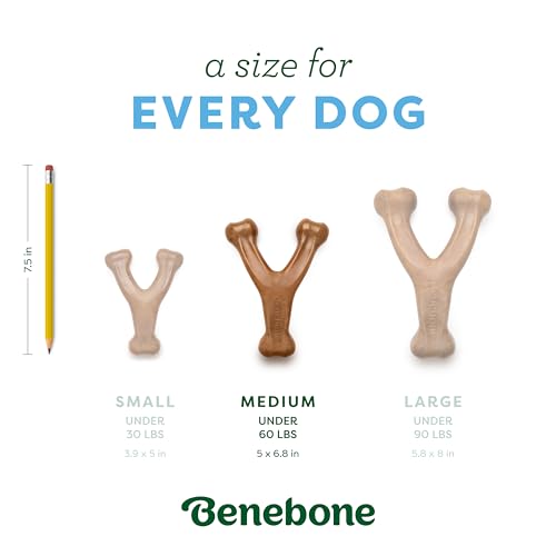 Image of Bundle of Benebone Wishbone Durable Dog Chew Toy for Aggressive Chewers, Duck, Made in USA, Medium + Benebone Medium 4-Pack Dog Chew Toys for Aggressive Chewers, Made in USA, 60lbs and Under