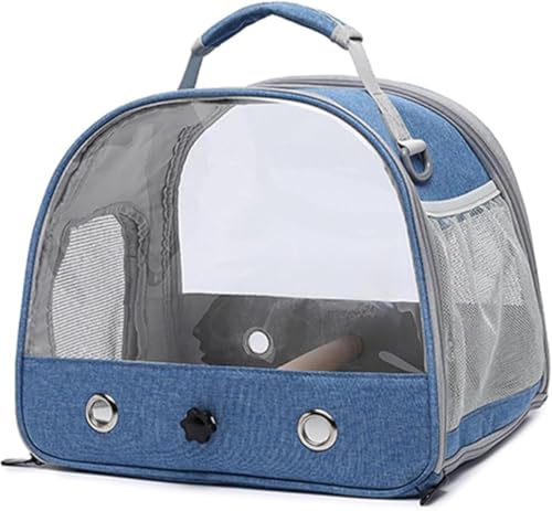  L[  CR ^ NX{fBł莝łg O㓧 F ʂ bV̗p TCh̎[Xy[X {gpbhA~܂؁AV_[XgbvAAgCAaAꂪt܂ (B)