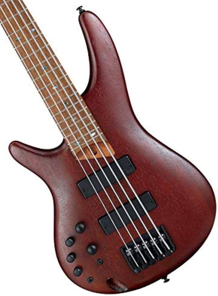 Amazon | Ibanez アイバニーズ 5弦エレキベース 左利き用 SR505EL-BM