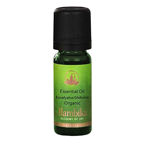 10ml wildcrafted organic eucalyptus globulus essential oil