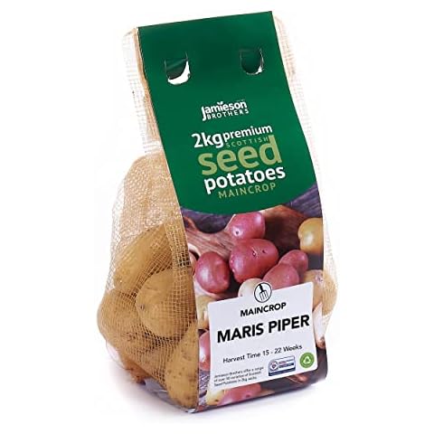 Jamieson Brothers 2kg Maris Piper Seed Potatoes (Approx. 20-25 Tubers) - Maincrop Grow Your Own Spuds - for Chips, Mashing & Roasting - Scottish-Grown & Ready to Plant at Home in Gardens & Allotments Cover