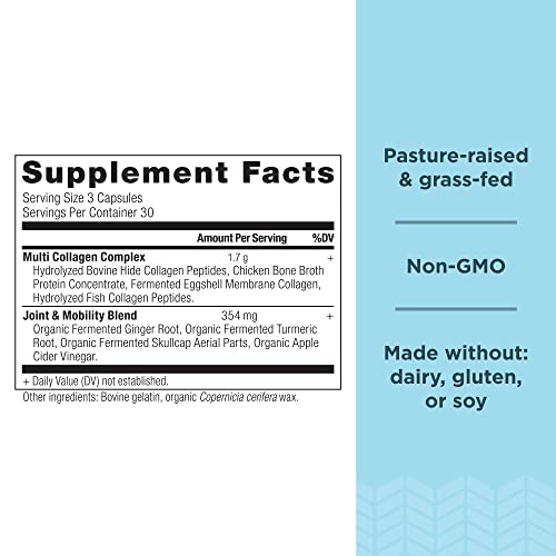 Ancient Nutrition Multi Collagen Protein Capsules, Joint & Mobility, 90 Count + Multi Collagen Protein Powder, Unflavored, 45 Servings #TOP1