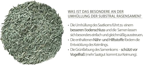 Substral Rasensamen Die Nachsaat, Rasensaat, Schnell keimende strapazierfähige Rasenreparatur-Mischung, 2 kg für 100 m²