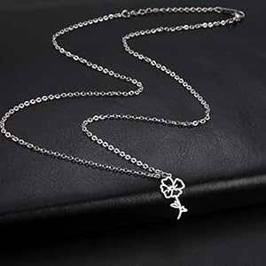Kkjoy birth month flower necklace stainless steel 12 month birthday flower pendant necklace best friend necklace jewellery gifts for women  urban country home decor