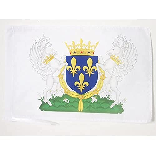 AZ FLAG - Drapeau Blason royaume de France Charles VI - 45x30 cm - Pavillon Royaliste Français 100% Polyester Avec Deux Cordelettes - 20g