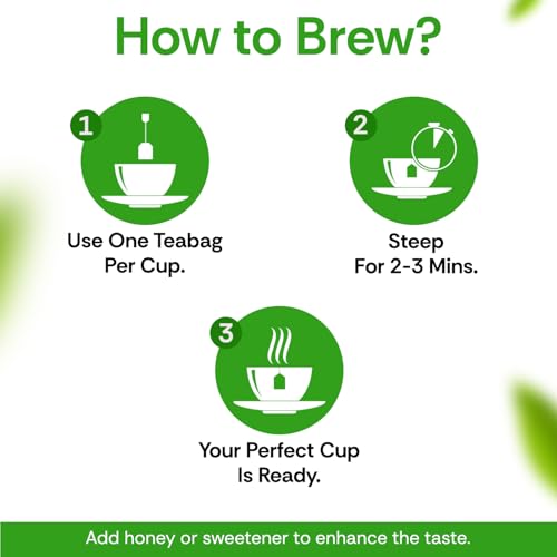 Image of Flurys Pure Green Tea - 100 Teabags Envelope Pack I Premium Green Tea | Detox & Antioxidant Support (Pack of 3)