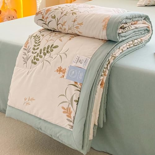 Couverture De Lit Couette D'été Couvre-lit Matelassé 2/1 Personnes 200*230/180*200cm Double 1 Pièces Patchwork Dessus De Lit Courtepointe Réversible Doux Literie En Microfibre ( Color : C , Size : 200