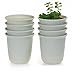 T4U 5.75 Inch Plastic Round succulent Plant Pot/Cactus Plant Pot Flower Pot/Container/Planter Package 1 Pack of 8