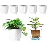 T4U 15cm Self Watering Plant Pots Indoor, 6 Pack Indoor Plant Pot, White Plastic Flower Pots, House Plant Pots for Indoor Outdoor Plants, Succulent, Cactus, African Violets, Spider Plants