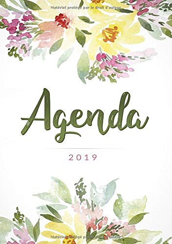 Agenda 2019: Agenda Calendar & Planificateur 2019 – Agenda organiseur pour ton quotidien