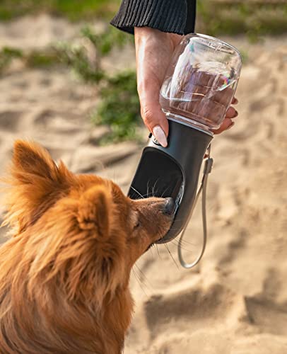 lionto 350 ml Water Bottle for Dogs Portable Leak-Proof Water Bottle for Travel Water Dispenser Black - Image 2