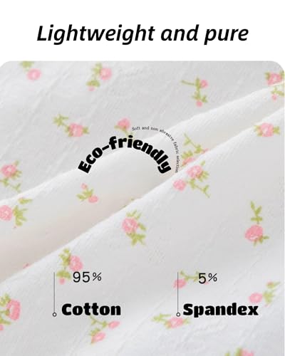 Korean Cute Frilly Panties for Teen Girls,Sweet Blue Cotton Mid Rise Underwear,Breathable Crotch All-day,5 Pack2