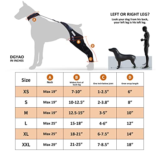 Image of Dog Knee Brace for ACL, Knee Cap Dislocation, Arthritis - Full Wrap - Easy Adjustable - Extra Support - Reduces Pain and Inflammation - Full Sizes