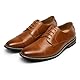 Bruno Marc Herren Derby Anzugschuhe Klassischer Business Schnürhalbschuhe,Size 47,Braun,BMUMOX2528