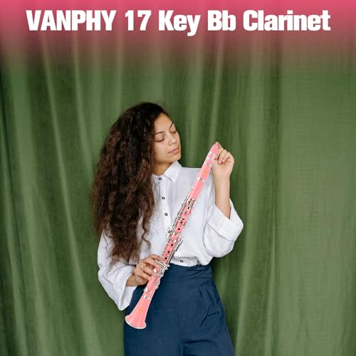 Image of Bb Clarinet 17 Keys Flat B Clarinet for Beginners & Students Pink