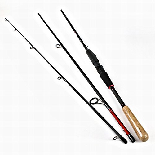Canne à pêche lure pole DH carbone embase rigide manche bois droit 2.4m