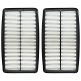 CARBBIA 2PCS Engine Air Filter Replaces 17220RN0A00 CA10013 Compatible with Acura Compatible with
