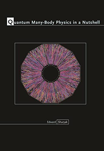 Quantum Many-Body Physics in a Nutshell view 2