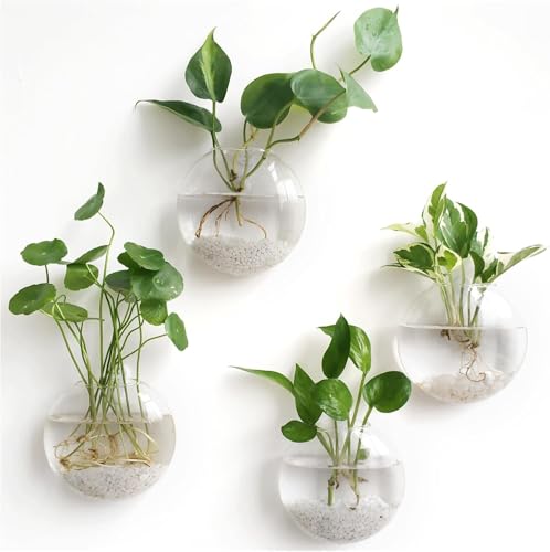 Ukipos Juego de 4 Macetas de Cristal para Colgar, Terrarios para Colgar en la Pared, Macetas de Redondas de Cristal, Jarrón Ovalado para Plantas...