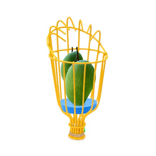 Image of Urban Plant Mango Plucker | Metal Fruit Picker Head | Yellow | with Sponge | Attaches to Any 1-Inch Pole | Rust-Proof Powder-Coated Iron (Pole Not Included)