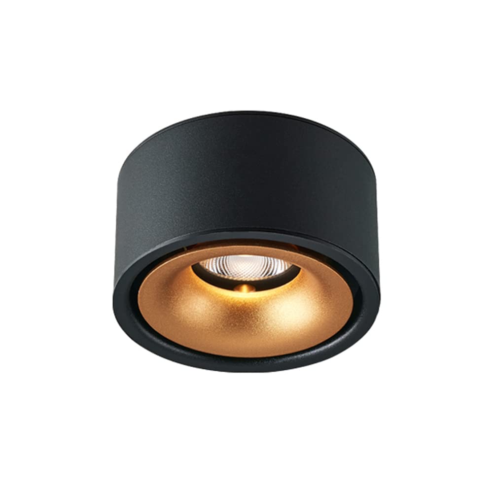 SKYGOO Nordic 5w Surface Mounted Small Spotlights，hotel Living Room Bedroom Lights，Restaurant Lights Shopping Mall Lights，balcony Bathroom Light，corridor Aisle Light，Fashion Round Lamp