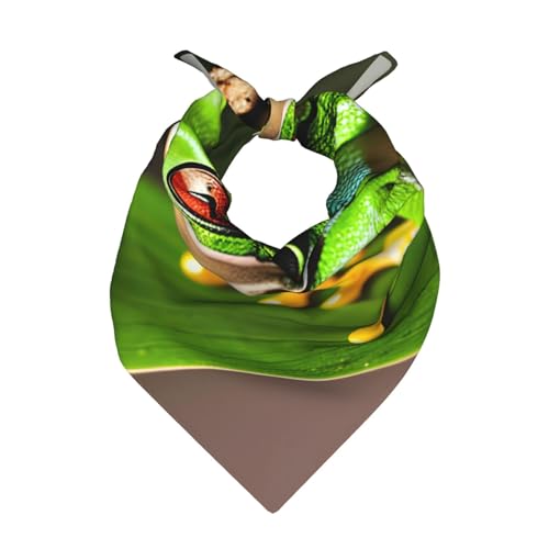 XTYGETY Bandana cuadrada con estampado de rana de árbol, 55 x 55 cm, pañuelo para hombres y mujeres, pañuelo para el cuello, pañuelos