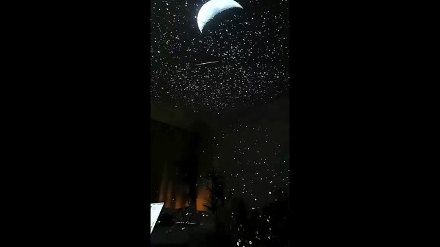 Amazon.co.jp: 【Amazon.co.jp限定】Galaxyプロジェクター