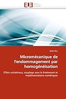 Microma(c)Canique de L''Endommagement Par Homoga(c)Na(c)Isation 6131560250 Book Cover