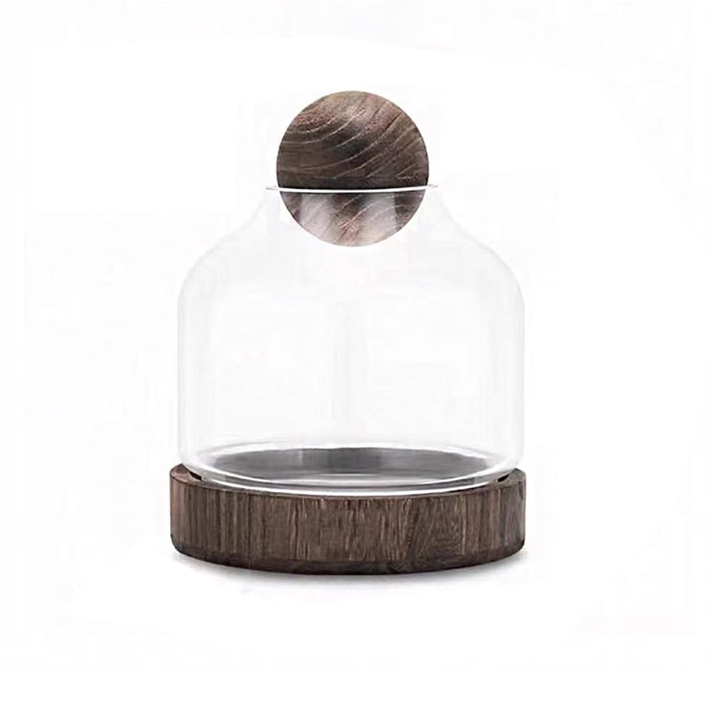 Ciotola di Pesce con Base in Legno, Serbatoio di Pesce Betta di Vetro per Pesce E Piante, Ciotola di Pesce in Vetro Aperto per Pesce Rosso E Pesce Betta, 2 in 1 Serbatoio di Pesce,Dark s