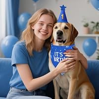 Agroon Blue Dog Birthday Party Supplies with Hat Bandana Numbers — image 8