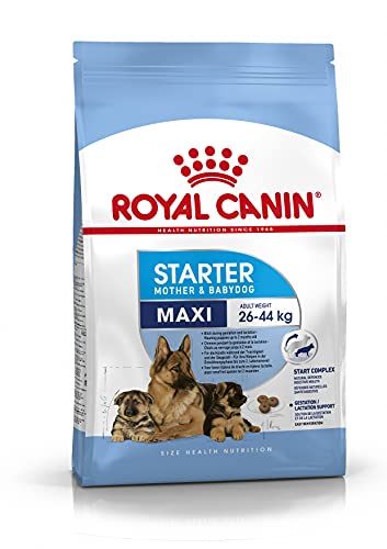 Royal Canin 02RCMAXST15 C-08442 S.N. Maxi Starter - 15 kg,Zwart