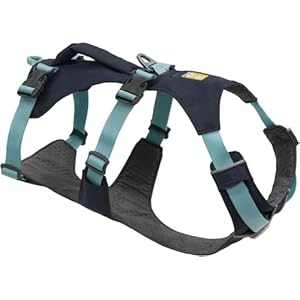 Ruffwear, Flagline Dog Harness, Lightweight and Reflective, No Pull Dog Lift Harness for Hiking, Running and Everyday Use, Basalt Gray, Large/X-Large