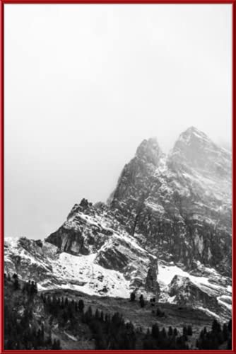 Premium 24 X 36 Red Metal Frame (Hanover) #TOP1