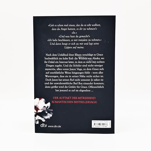 Crave: Mitreißende Romantasy – Der fantastische Auftakt der Bestsellerreihe jetzt im Taschenbuch mit exklusivem Bonuskapitel (Die Katmere Academy Chroniken, Band 1)