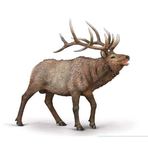 CollectA Wapiti (wapiti) – Animaux et figurines réalistes peints à la main, modèles d'animaux sauvages, cadeaux d'animaux sauvages pour les tout-petits et les enfants, à partir de 3 ans