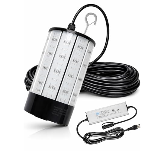 NS Dual Power Dock Light