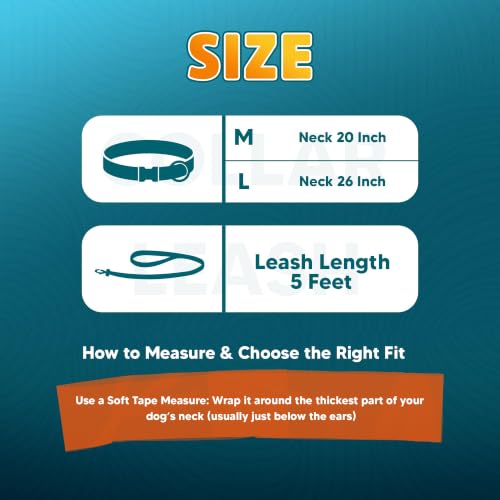 Image of Adil's Biothane Waterproof Dog Collar, Dog Leash & Collar Leash Combo | Heavy Duty TPU Coated Webbing | Adjustable Quick Release Buckle | Odour Resistant (Light Sky, L-22, Collar & Leash Combo)