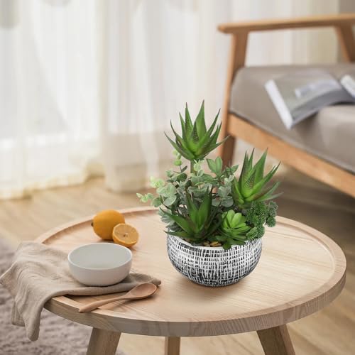 Hollyone Fake Succulents in Cement Pot, Mixed Artificial Succulents Faux Greenery Indoor, Decorative Artificial Plants for Home Decor, Living Room, Bathroom, Kitchen, Shelf, Desk Decorations - Image 4