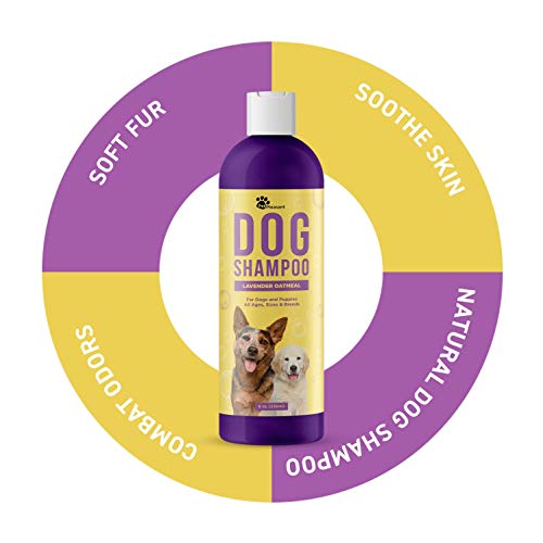 essential oil dog shampoo