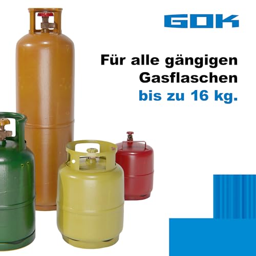 GOK Indicatore di livello Senso4s BASIC per