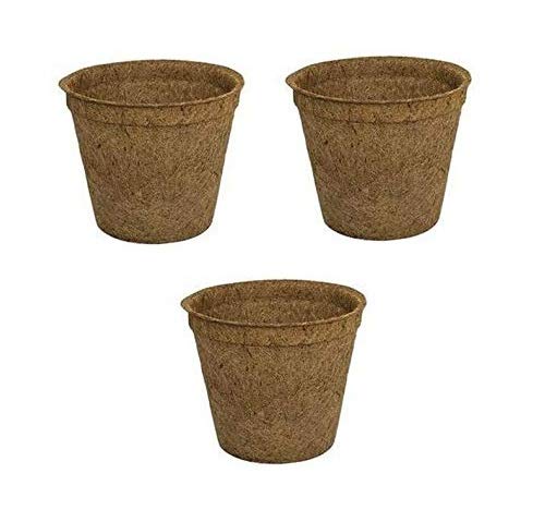 See full amazon price history chart for Coir Pot 8 Inch for Plants (Pack of 3 Nos) Coir Pot 8 Inch for Plants (Pack of 3 Nos) (B08D66QVPV) Amazon Price History, Amazon Price Tracker