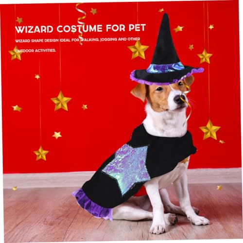 Disfraz de mago para perro talla L Halloween miniatura 6