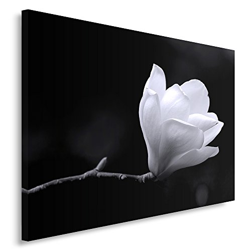 Feeby Frames, Tableau Seul Panneau, Tableau imprimé XXL, Tableau imprimé sur Toile, Tableau Deco, Canvas 50x70 cm, Fleur, Bourgeon, Noir ET Blanc