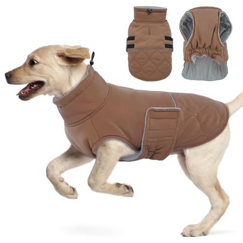 Hjumarayan Hundemantel, Wattierend Winterjacke Geschirröffnung, Warme Wintermantel Gefüttert Kleidung Mantel für Border Collie, Englische Bulldogge,...