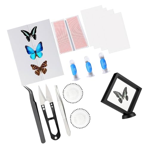 Accesorios de montaje de mosca y kit de inicio de entomología en EVA 8