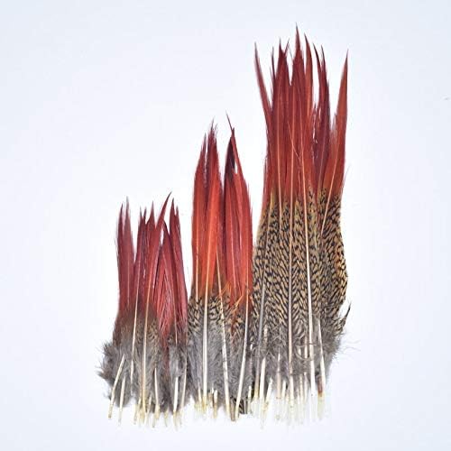 Rare Pheasant Feathers 5~25cm/2-10inch; Natural Hair Feathers for Clothes Craft Feather Plume Decoration Plumas Carnaval Feather Top - 25-30CM 10-12inch