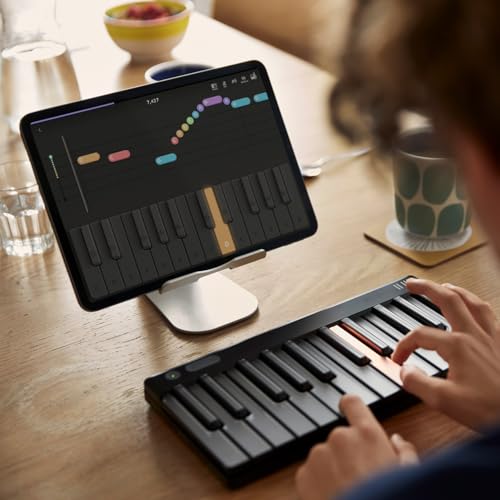 Amazon.com: ROLI: Piano M for Learners