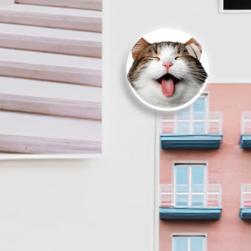Imán de vidrio con diseño de gato para refrigerador miniatura 7